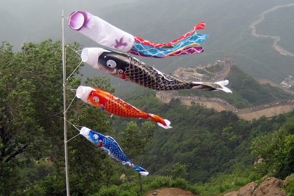 Tokunaga Koinobori